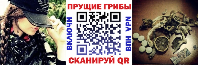 Псилоцибиновые грибы ЛСД  Чусовой 
