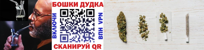 Конопля сатива  Чусовой 